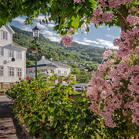 Цветущая Норвегия
